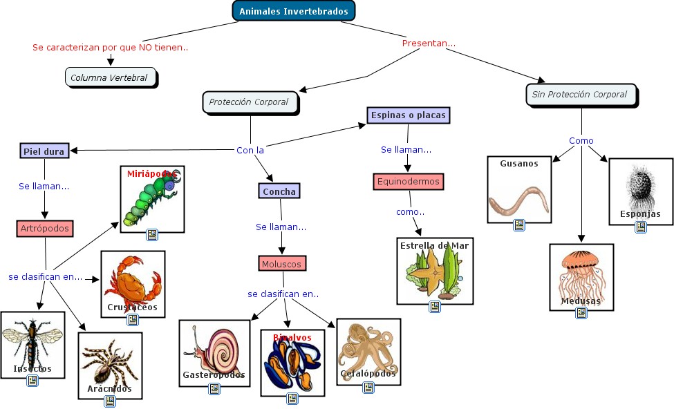 Los parásitos en el intestino de la foto